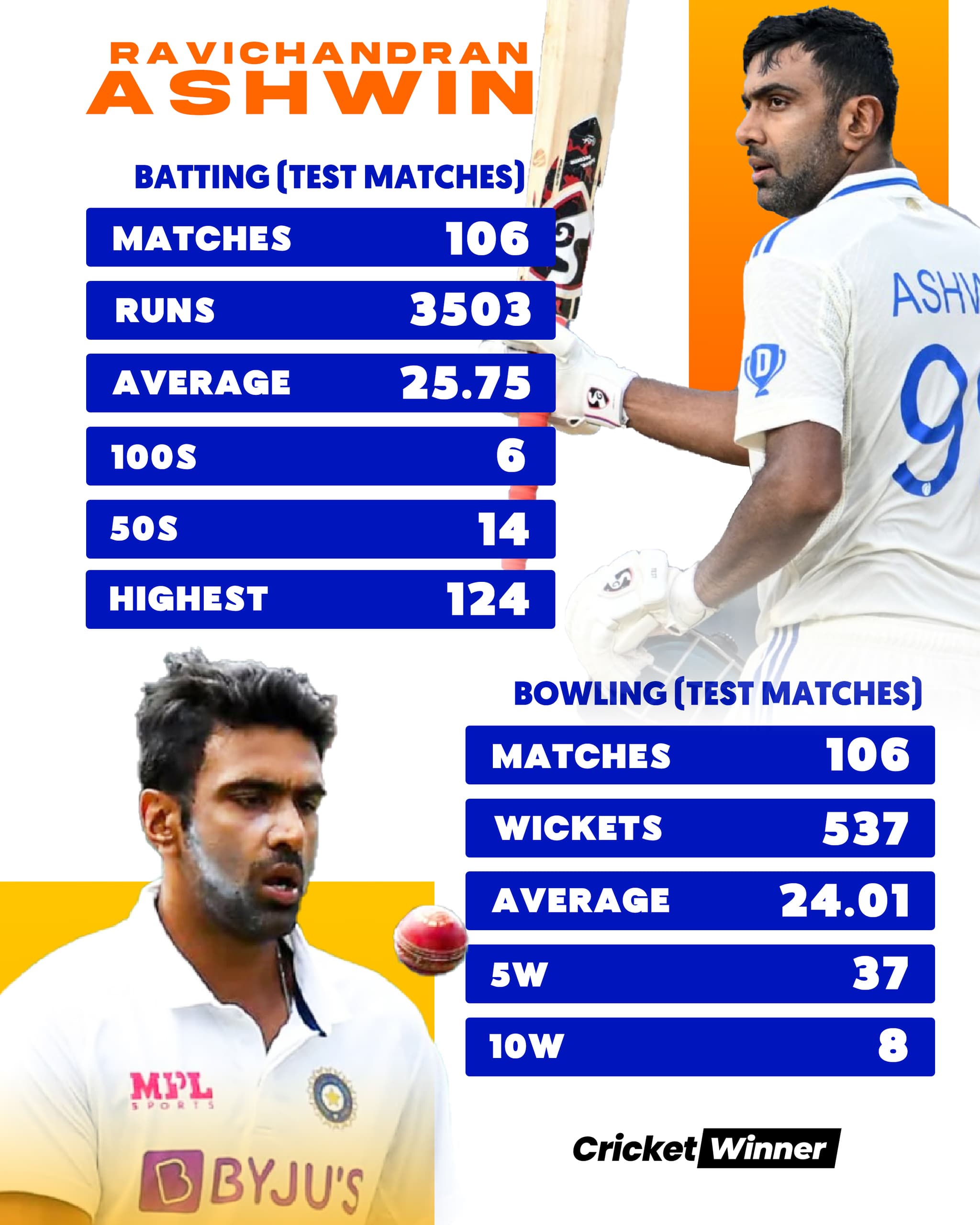 home-cricket-image